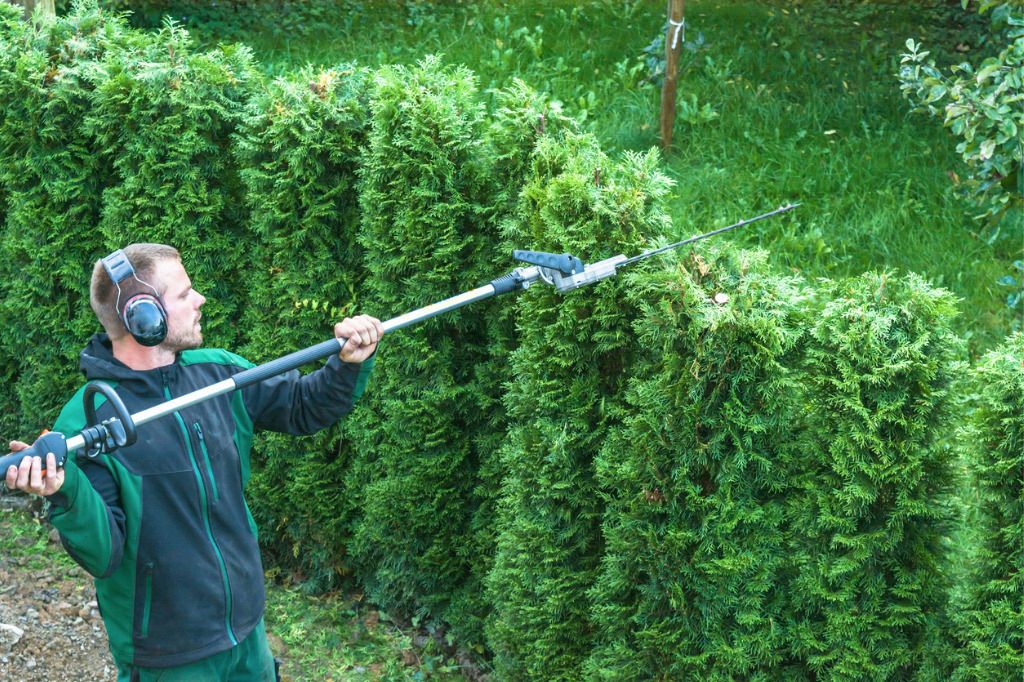 Das Bild zeigt einen Mann mit einer elektrischen Heckenschere mit Verlängerung als Beispiel für die schonende Bewegung bei der Gartenarbeit mit der richtigen Ausstattung