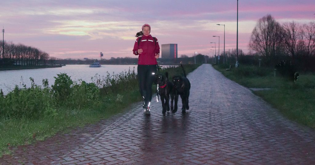 Das Foto zeigt die Autorin beim Joggen mit ihren Hunden am Fluss als Titelbild für ihren Beitrag rund um Tipps für Jogging ohne Schmerzen