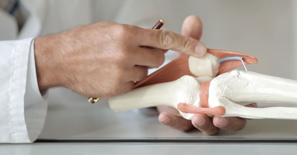 Das Foto zeigt einen Arzt der am Model eines Gelenks die Bedeutung der regenerativen muskuloskelettalen Zelltherapie statt prothetischem Gelenkersatz veranschaulicht.
