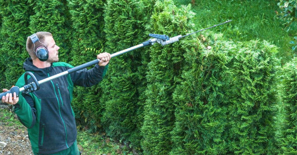 Das Bild zeigt einen jungen Mann beim Heckenschneiden mit einer Teleskopverlängerung zur Entlastung als Sinnbild für die ergonomische Gartenarbeit durch den Einsatz passender Gartengeräte