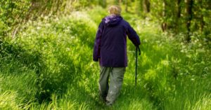 Das Bild zeigte einen älteren Menschen mit Gehstock beim Spaziergang im hohen Gras als Sinnbild für passende Gehhilfen wie Rollator oder Gehstock für jedes Gelände