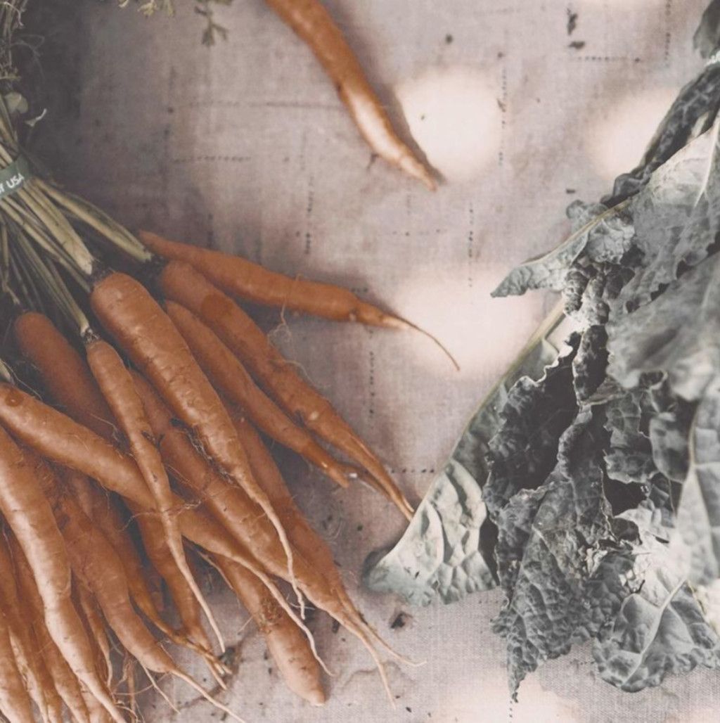 Das Bild zeigt Karotten und Salatblätter als Sinnbild für eine gesunde Ernährung als Medizin, auch über die Beeinflussung der Darmflora
