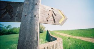 Das Bild zeigt einen Wegweiser in der sonnigen Landschaft als Sinnbild für die Etappen auf dem persönlichen Abnehm-Weg
