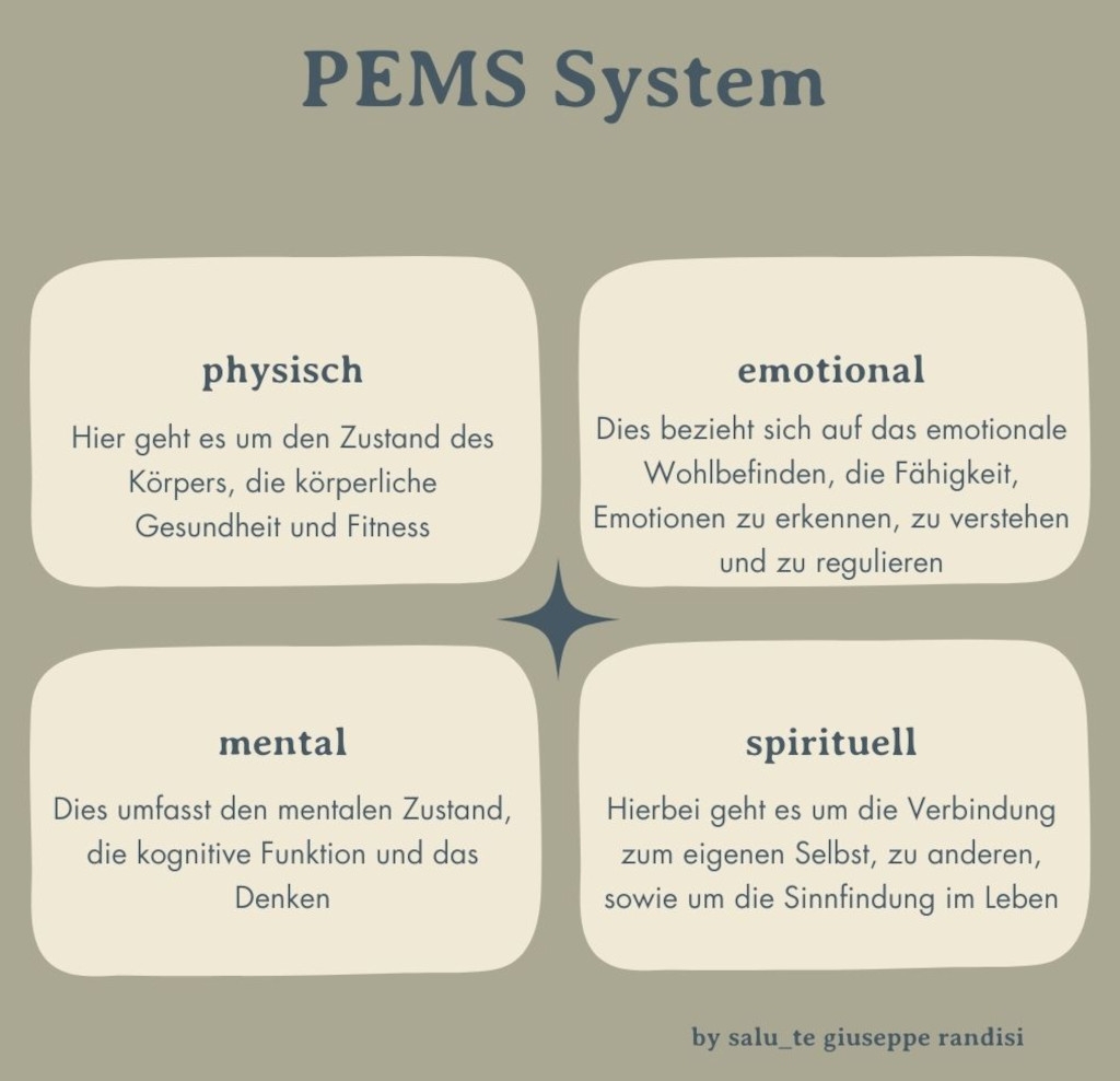 Das Bild erklärt die 4 Ebenen des PEMS-Systems (physisch, emotional, mental und spirituell) die bei der osteopathischen Behandlung gegen Rückenschmerzen betrachtet werden.