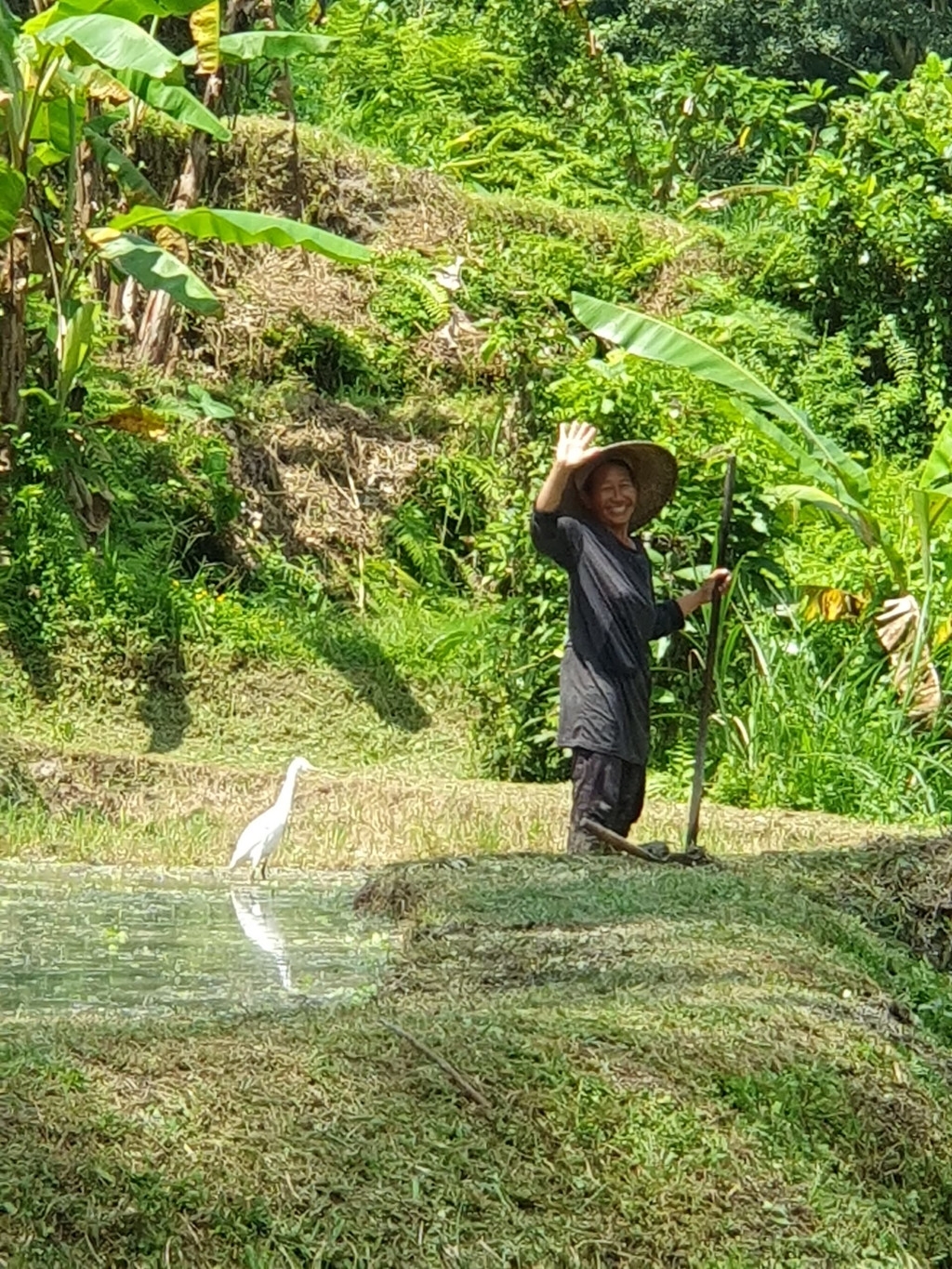 Chronische Schmerzen und Fernreise? Das Bild zeigt eine freundlich lächelnde und winkende Feldarbeiterin auf Bali als Sinnbild für die Hilfe und Unterstützung der einheimischen Bevölkerung.