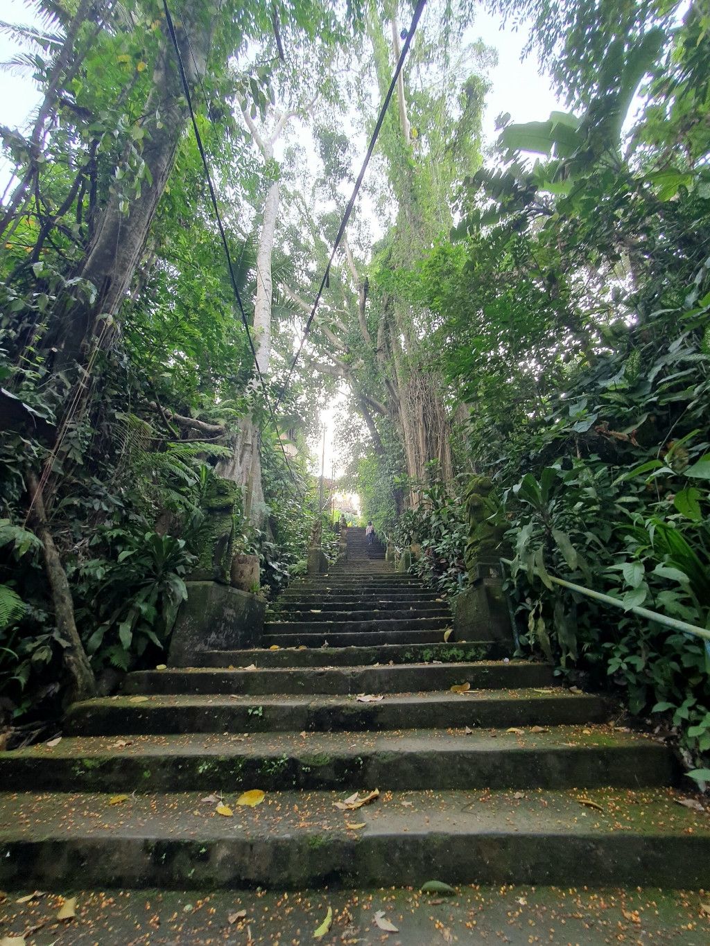 Chronische Schmerzen und Fernreise? Das Bild zeigt eine steile und enge Treppe im Dschungel als Sinnbild für die Herausforderungen bezüglich der Mobilität in anderen Teilen der Welt, die bei Reisen mit chronischer Erkrankung und Dauerschmerzen zu bedenken sind.