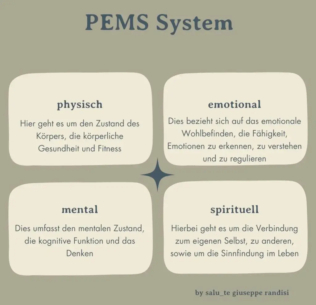 Das Bild erklärt die vier Ebenen des PEMS-Systems (physisch, emotional, mental und spirituell) die bei einer Darmkur mit osteopathischer Behandlung in der Online-Praxis betrachtet werden.