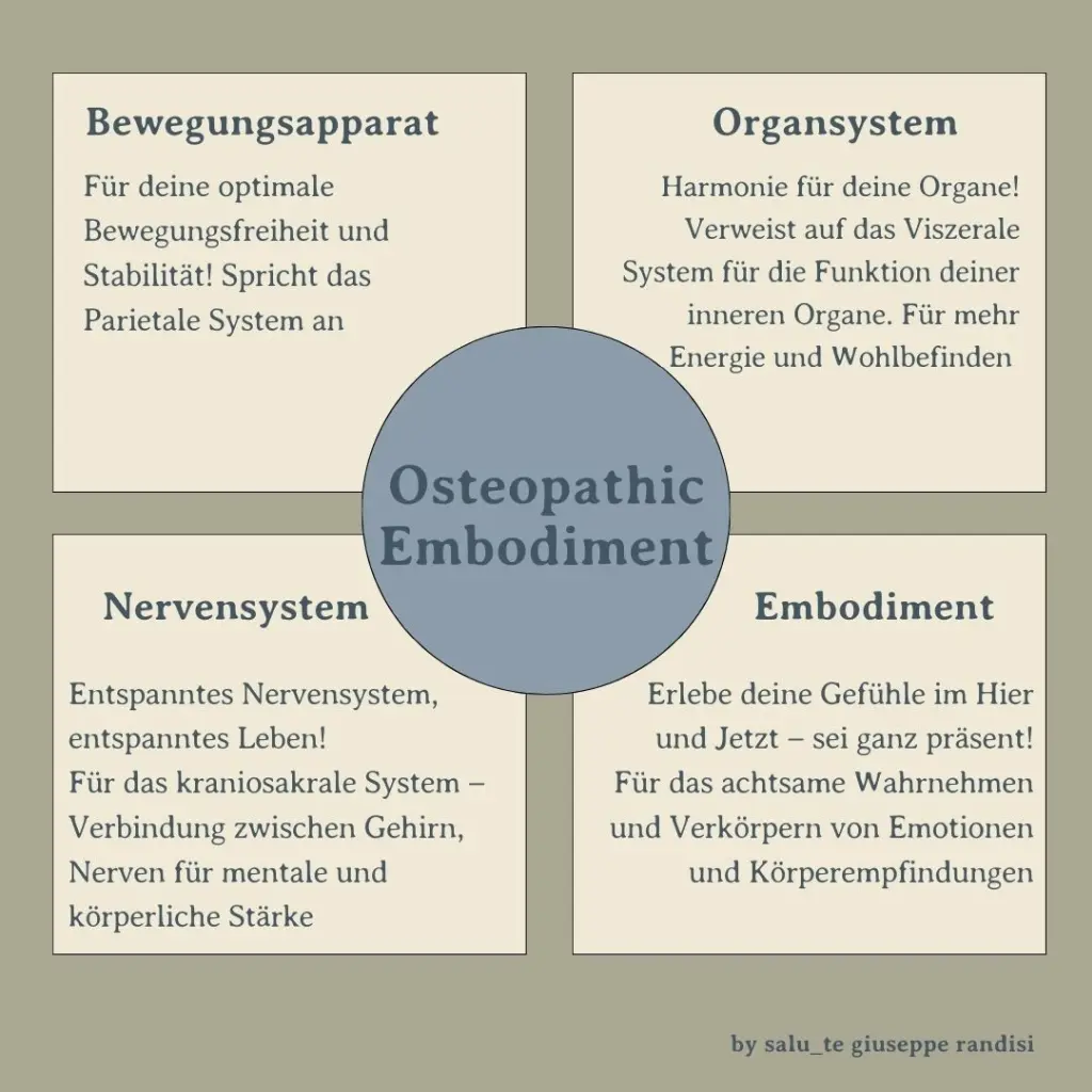 Das Bild erklärt die vier Ebenen des Osteopathic-Embodiment (Bewegungsapparat, Organsystem, Nervensystem und Embodiment) die bei der osteopathischen Behandlung bei Reizdarmsyndrom betrachtet werden.