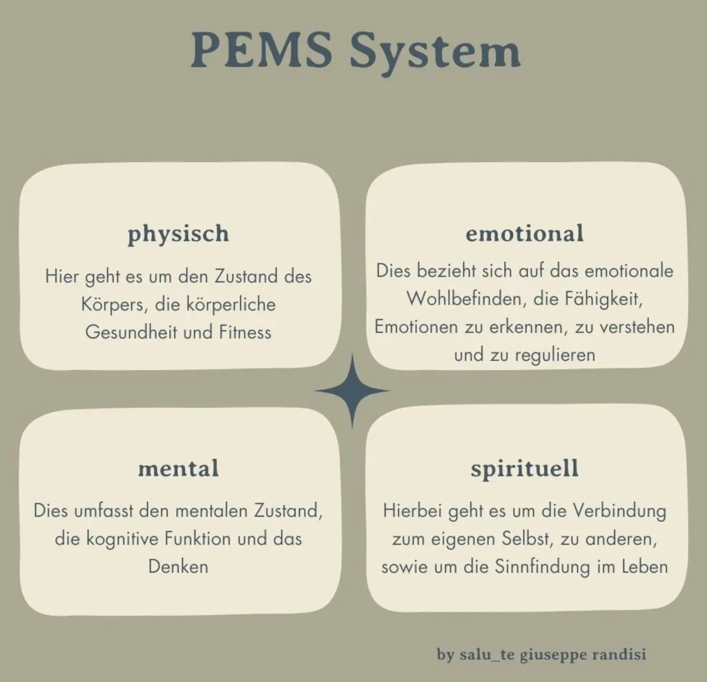 Das Bild erklärt die vier Ebenen des PEMS-Systems (physisch, emotional, mental und spirituell) die bei der Osteopathie in der Online-Praxis betrachtet werden um deine Longevity sicherzustellen.